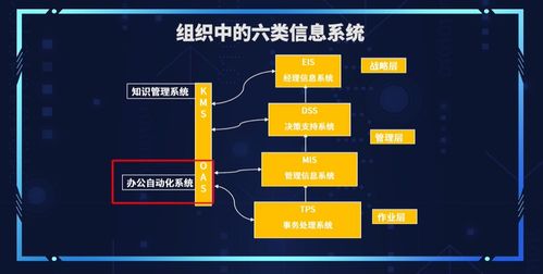 管理信息系統(tǒng) 二 2.8